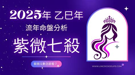 生命靈數流年7|2025運勢報告，如何透過我的生命流年數看待新的一年（含線上。